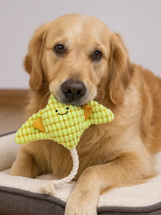 MIU_PETS Игрушка для собак мягкая с канатиком скат, вариант, фото 2