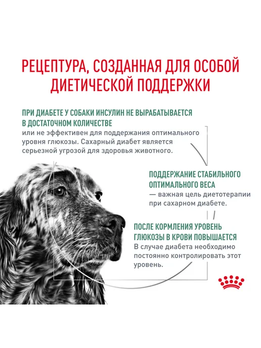 Сухой корм Royal canin При Сахарном для собак, взрослые, 12 кг, фото 2