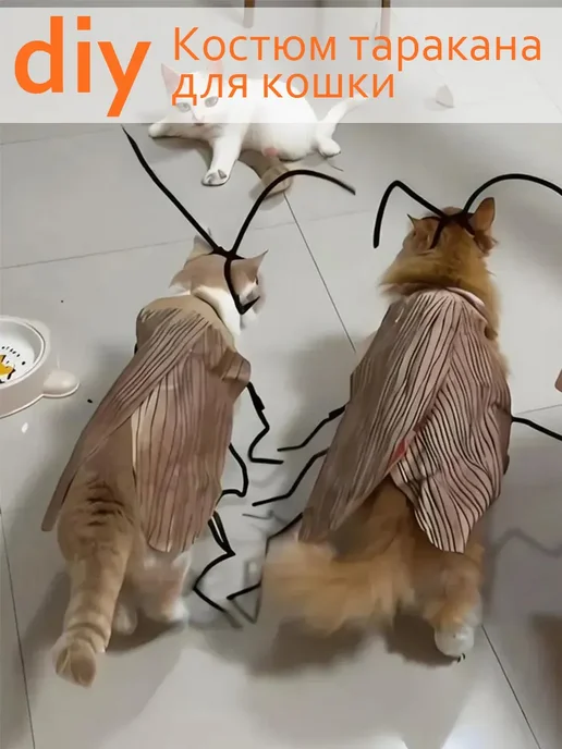 Жапондық әйелді ұрып-соққан онлайн порно видео