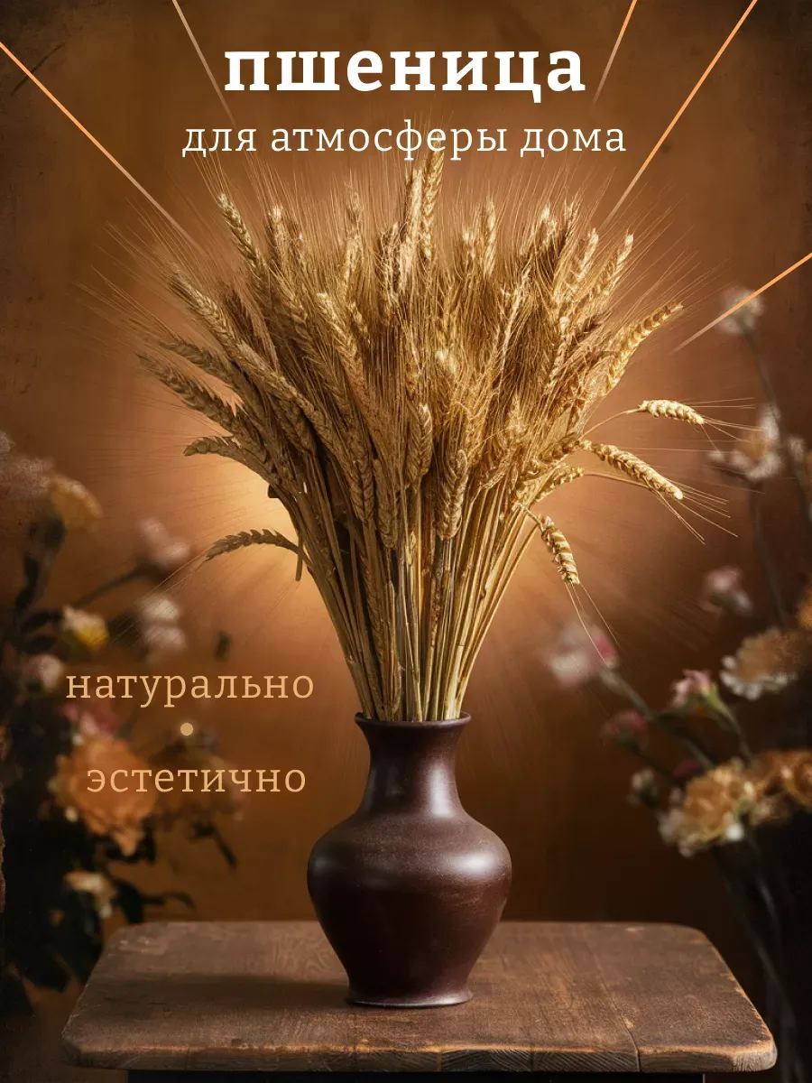 Пшеница колосья для композиции в кашпо колоски для гербария