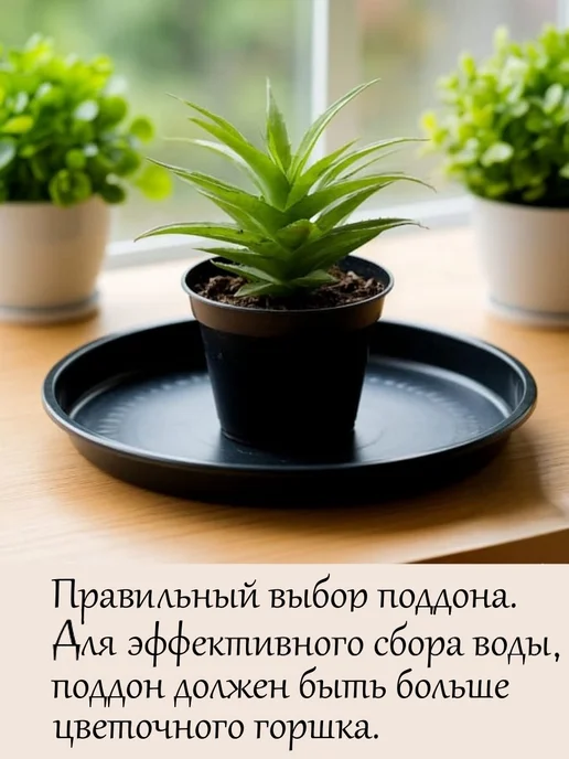 Багульник Поддон для цветочного горшка круглый Белый 27-32, 23-29, коричневый, фото 4