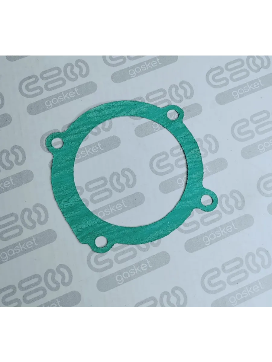 Прокладка помпы Fiat Punto 2003 (46720232)