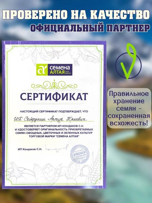 Семена Алтая Семена Лук Репчатый Эксибишен (Голландские) 0.2г, 0,2 г, фото 6