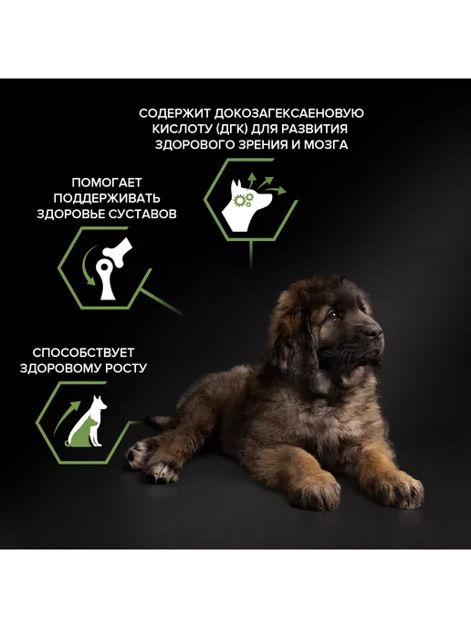 Сухой корм PRO PLAN для собак, крупные, щенки, 12 кг, фото 7