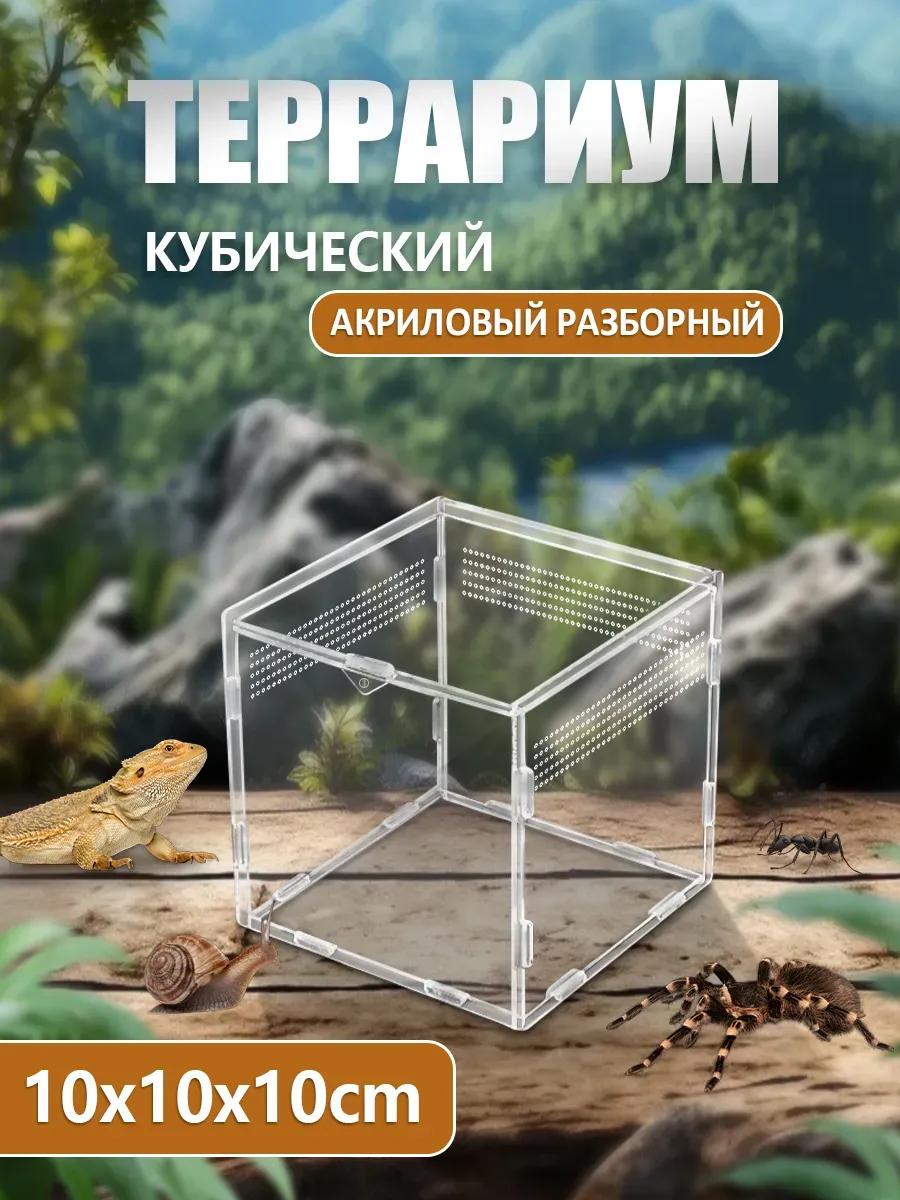 Террариумистика Террариум Для Рептилий
