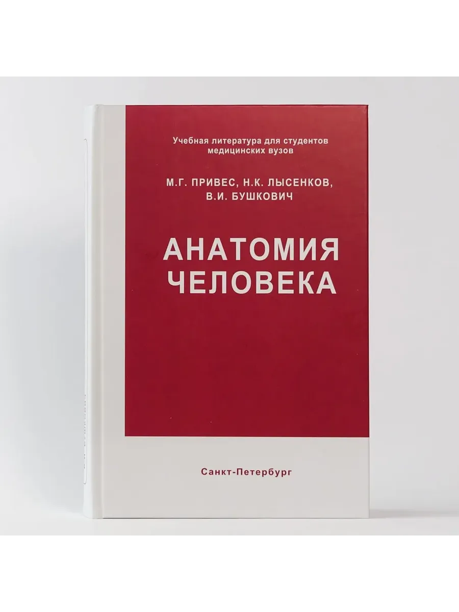 Анатомия человека. Привес М.Г