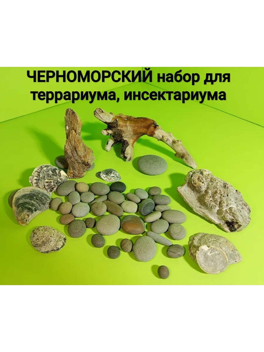 Набор для террариума, инсектариума ЧЕРНОМОРСКИЙ