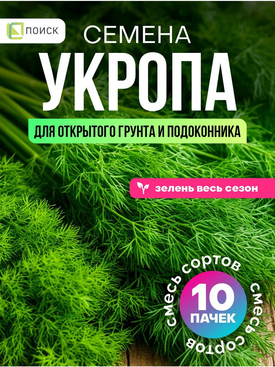 Семена укропа для открытого грунта и для подоконника