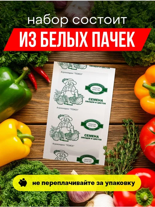 Агрохолдинг ПОИСК Семена укропа для открытого грунта и для подоконника, зеленый, фото 6