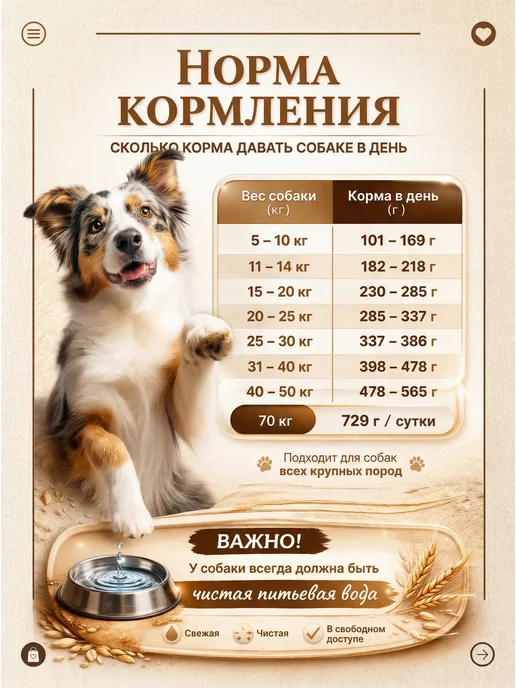 Сухой корм BUDDY DINNER для собак, крупные, 0,07 кг, фото 6