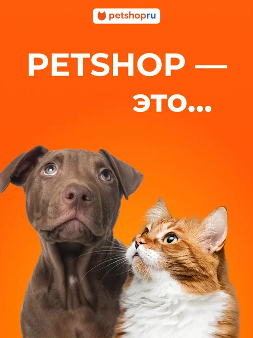 PetShop Намордник для кошек, шлем прозрачный, 15 см, вариант, фото 3