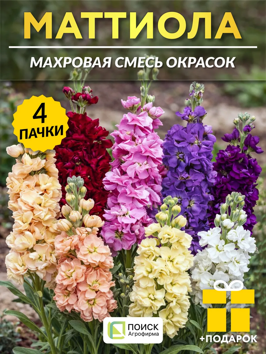 Семена маттиола махровая Галерея