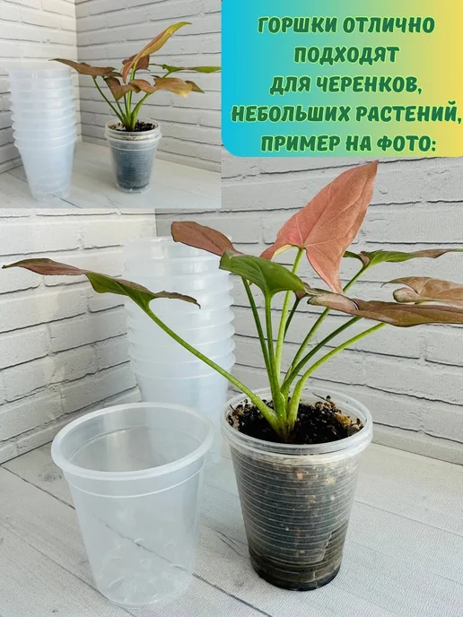Набор горшков для цветов 10 шт 0 1 л 0 1, 10 шт, 1 л, фото 4