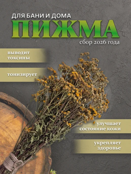 Пижма травяной веник для бани и дома, вариант