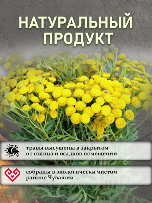 Пижма травяной веник для бани и дома, вариант, фото 3