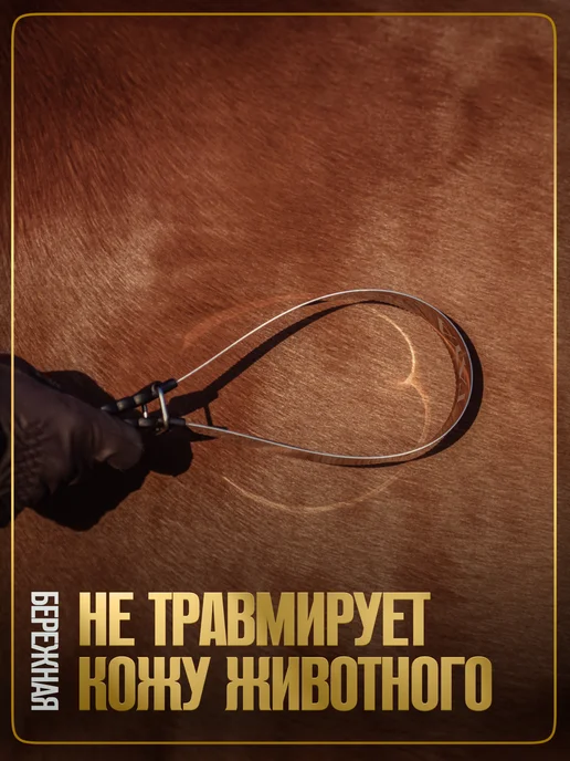 TAYA equestrianism Скребница для лошади двусторонняя металлическая, черный, фото 4