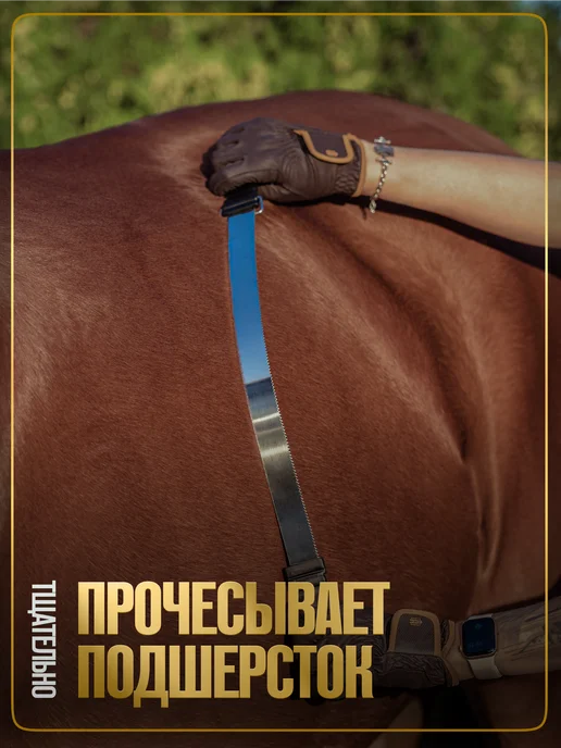 TAYA equestrianism Скребница для лошади двусторонняя металлическая, черный, фото 5