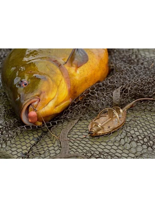 Carp Hunter Кормушка методная 90г Карп Хантер Flat Method Feeder Large, 90 г, фото 8