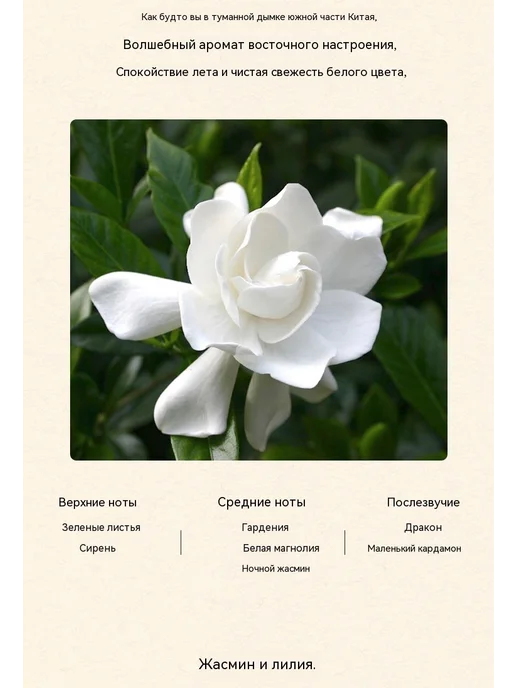 свеча Чёрный, черный, фото 19