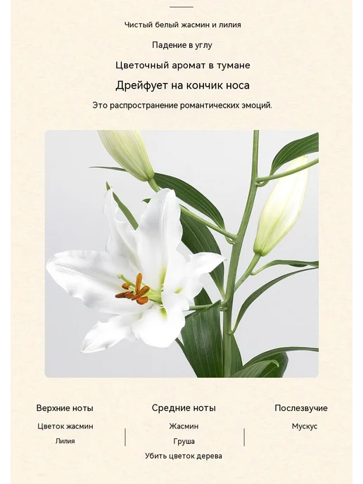 свеча Чёрный, черный, фото 20