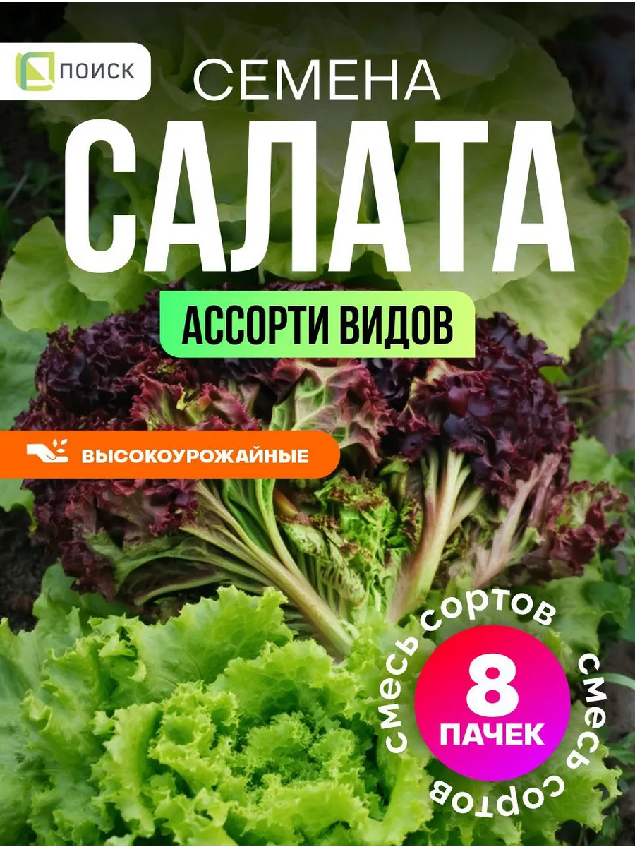 Семена салата листового для открытого грунта для подоконника
