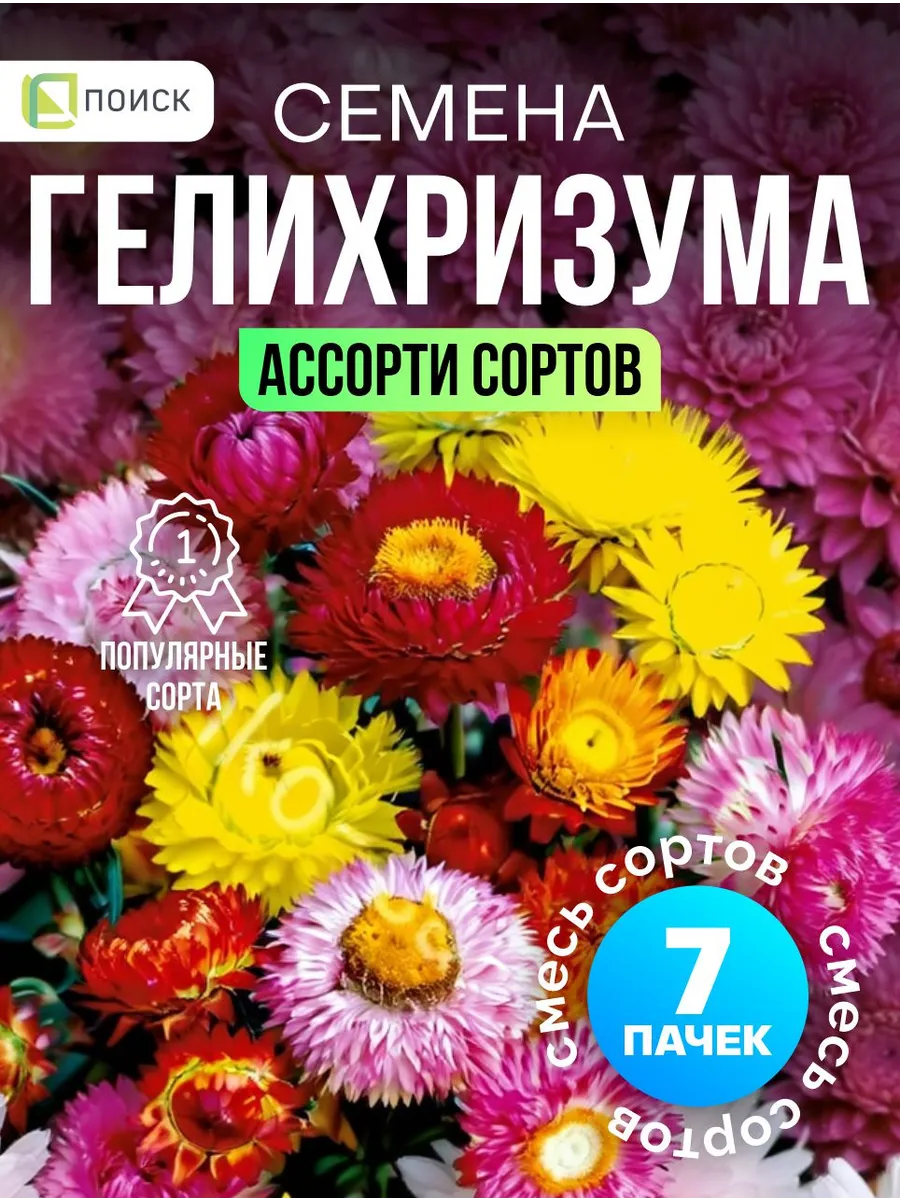 Гелихризум семена смесь