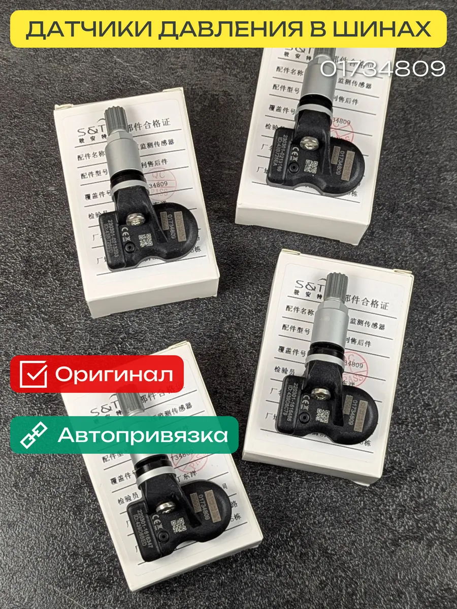 Датчики давления в шинах Белжи X50 2023+, 4 шт. (серый)