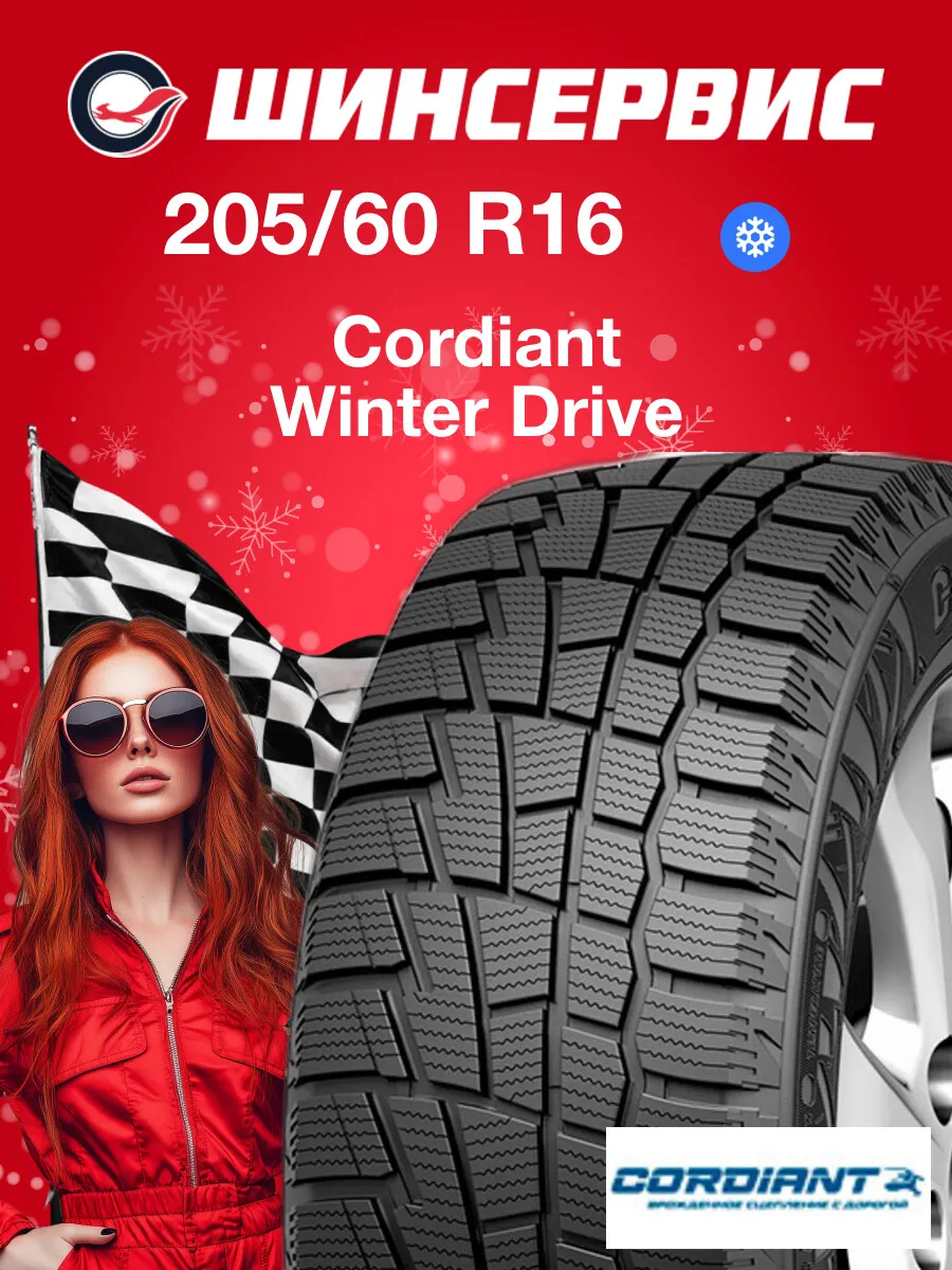 Шины зимние 205/60 r16 96T Winter Drive