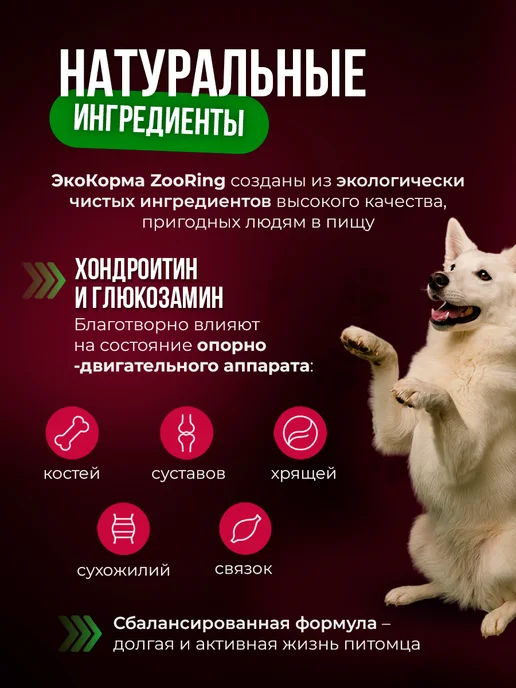 Сухой корм ZooRing Active Dog для собак, мясо, 2 кг, фото 6