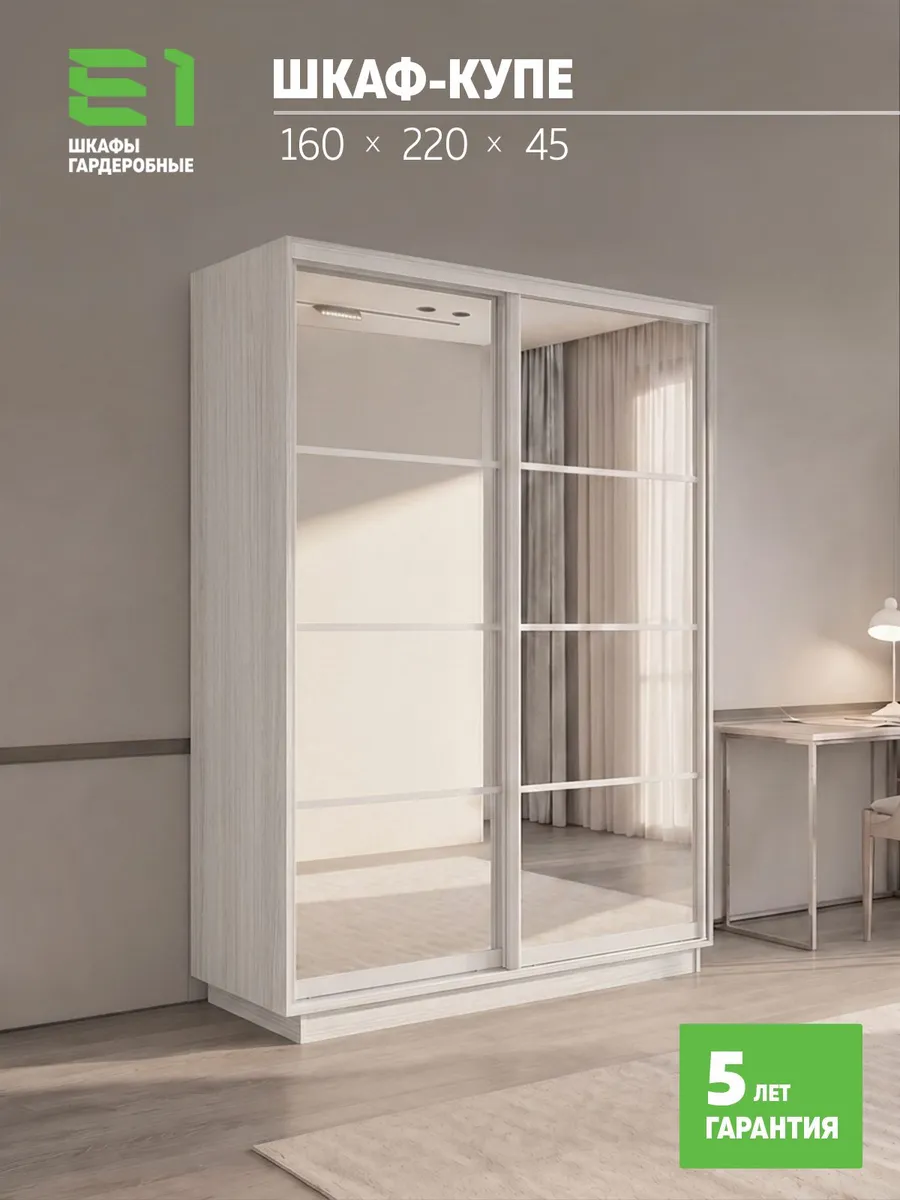 Шкаф-купе Экспресс 2-х дверный с зеркалом, 160х45х220, Е1