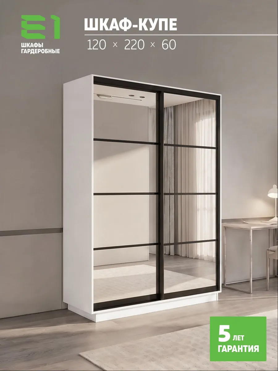 Шкаф-купе Экспресс 2-х дверный с зеркалом, 120х60х220, Е1