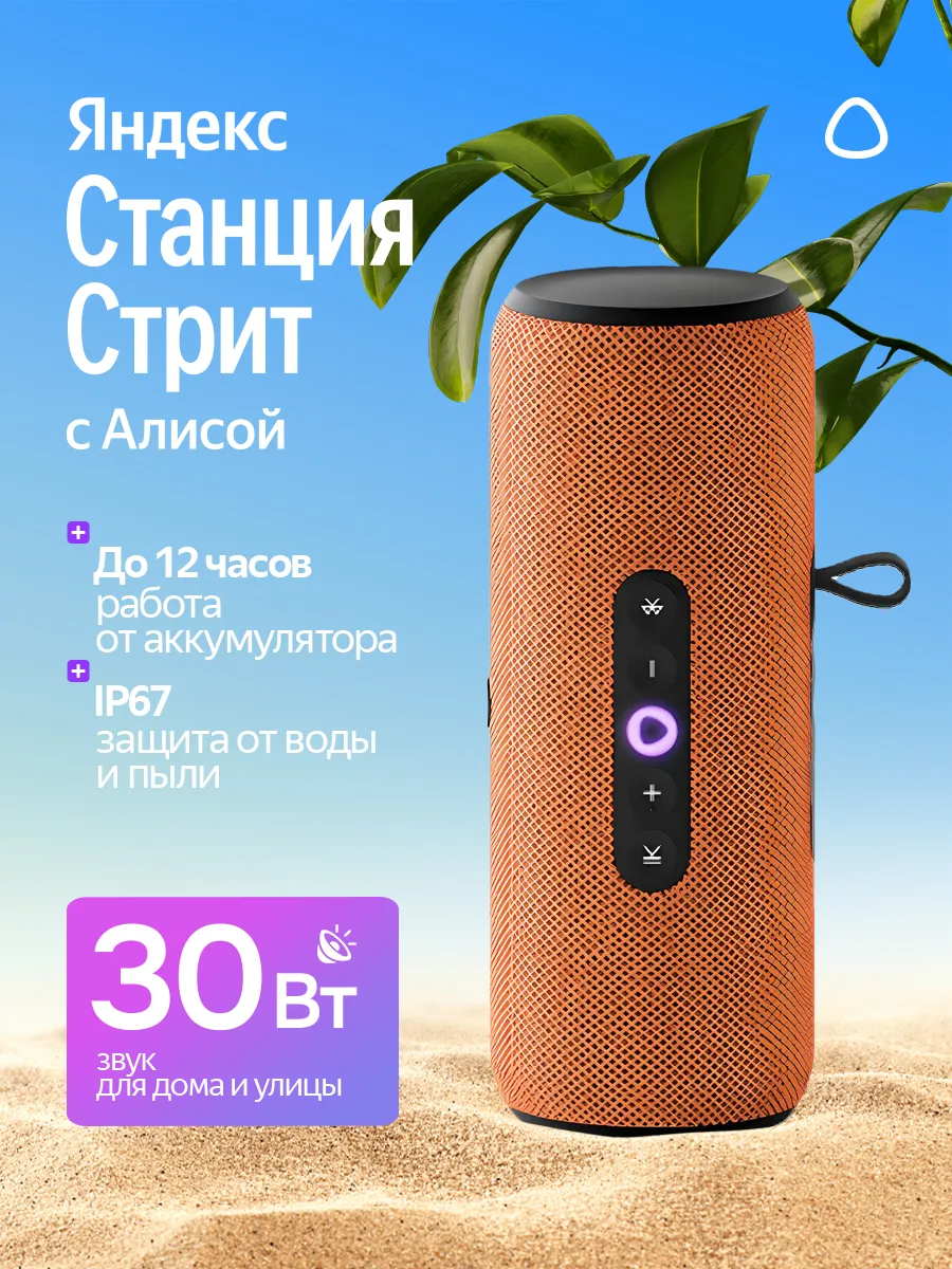 Умная портативная колонка Станция Стрит с Алисой