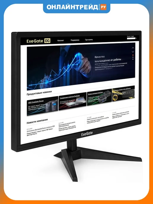 EXEGATE Монитор EB2400 EX294424RUS, черный