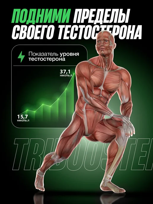 D'umor Tribooster Tribooster Тестостерон для мужчин, для набора мышечной, вариант, фото 3