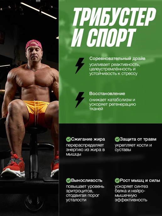 D'umor Tribooster Tribooster Тестостерон для мужчин, для набора мышечной, вариант, фото 6