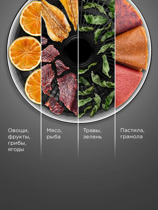 REDMOND Сушилка электрическая для овощей и фруктов, 5 уровней, 8.5 л, 8,5 л, фото 2