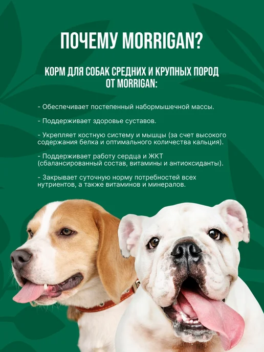 Сухой корм Morrigan для собак, крупные, средние, 1 кг, фото 2