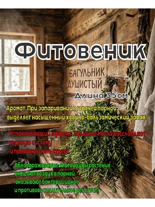 Веник из Багульника Свежий сбор 2026г, 2026 г, фото 2