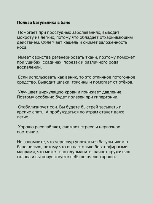 Веник из Багульника Свежий сбор 2026г, 2026 г, фото 7