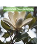 Интернет‑магазин Wildberries: широкий ассортимент товаров - скидки каждый день!