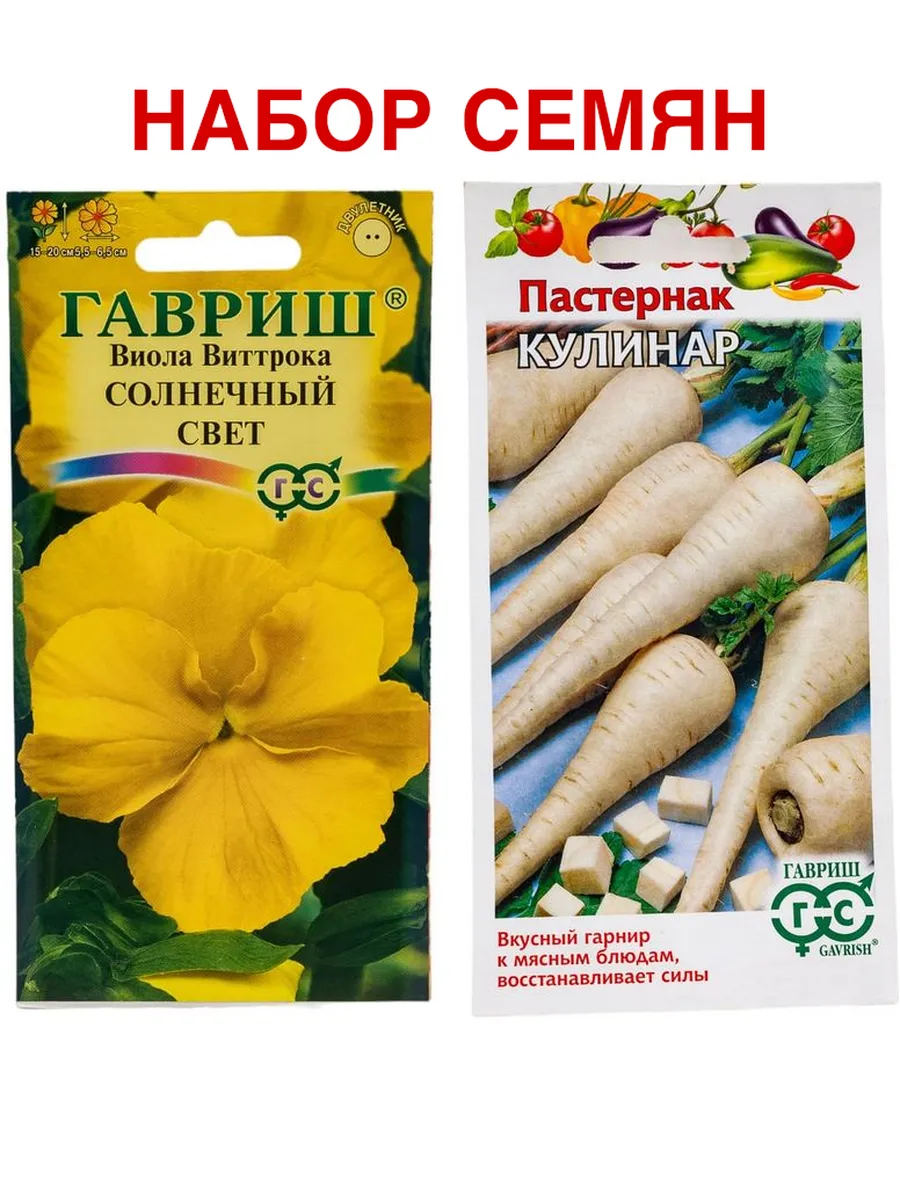 Виолла - солнечный день - 40 фото Виолла - солнечный день - 40 фото