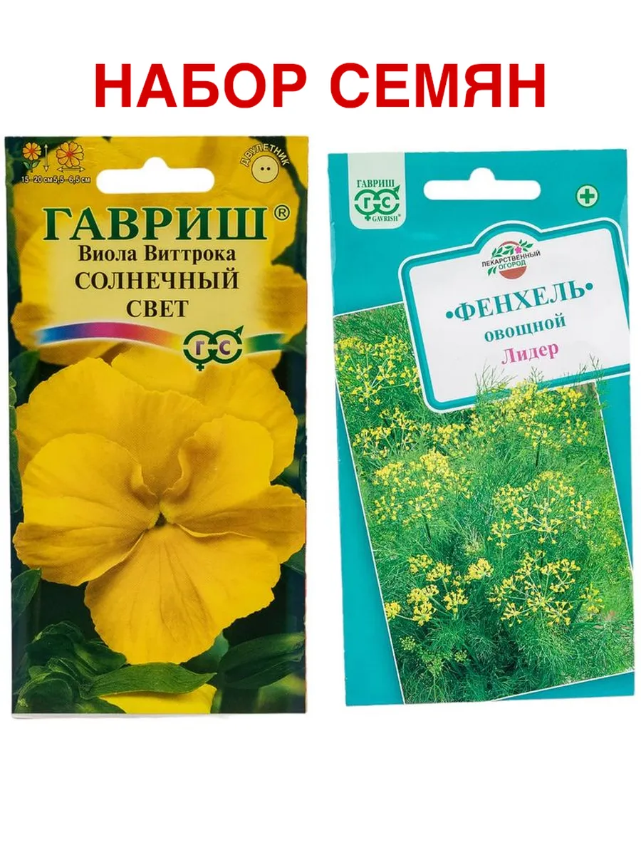 Виолла - солнечный день - 40 фото Виолла - солнечный день - 40 фото