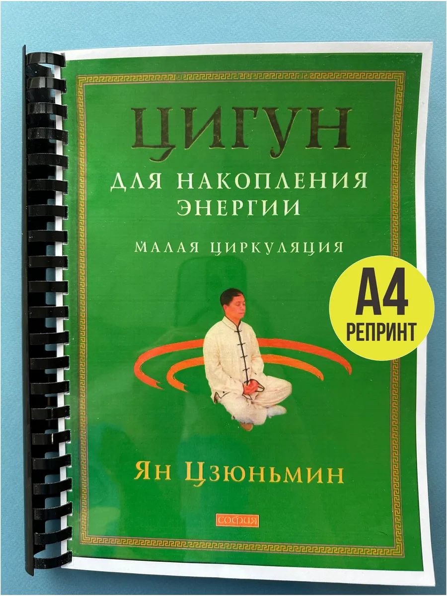 Ян Цзюньмин Цигун для накопления энергии