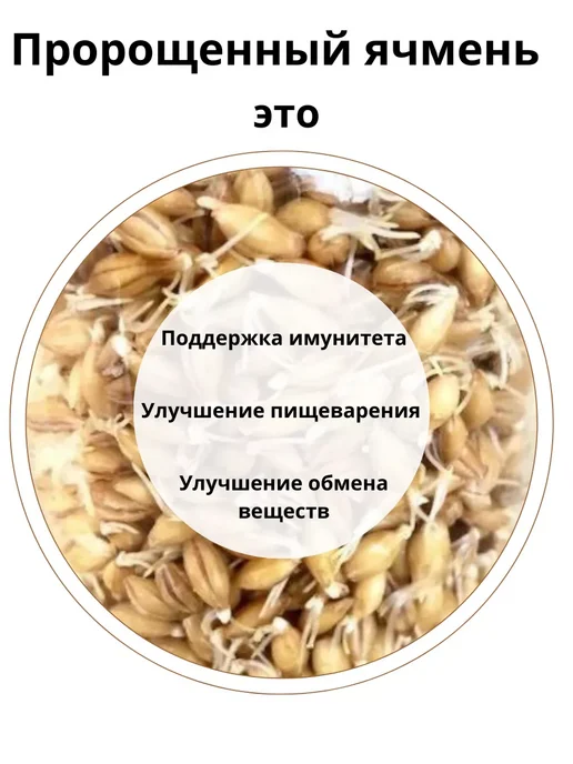 КРУПОВИЧОК Ячмень для проращивания 500 гр, 500 г, фото 2