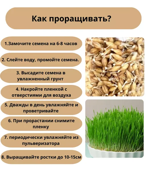 КРУПОВИЧОК Ячмень для проращивания 500 гр, 500 г, фото 3