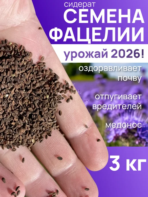 Фацелия сидерат семена 3 кг медонос, 3 кг