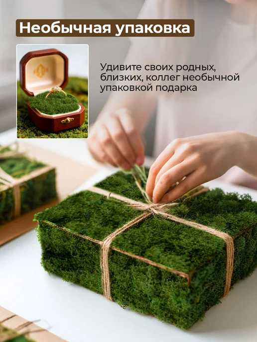 Цветы у Сережи Мох стабилизированный искусственный для декора 50 гр, 50 г, фото 4
