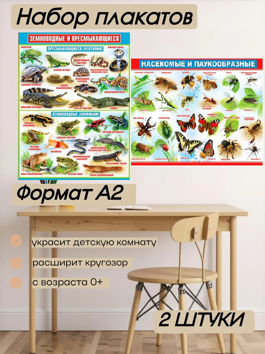 Плакаты детские на стену насекомые земноводные набор