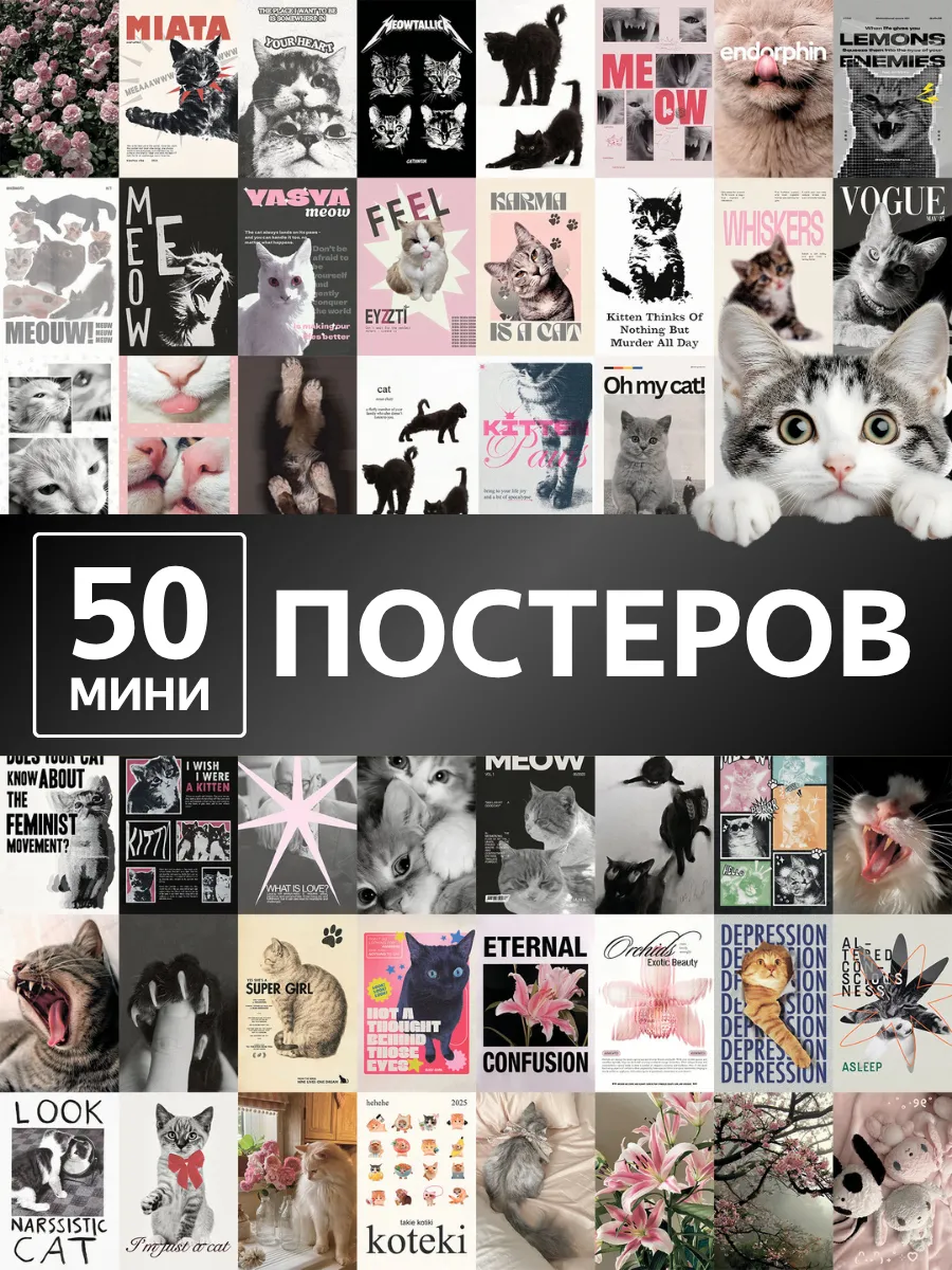 Постеры котики на стену коты мемы 50 штук