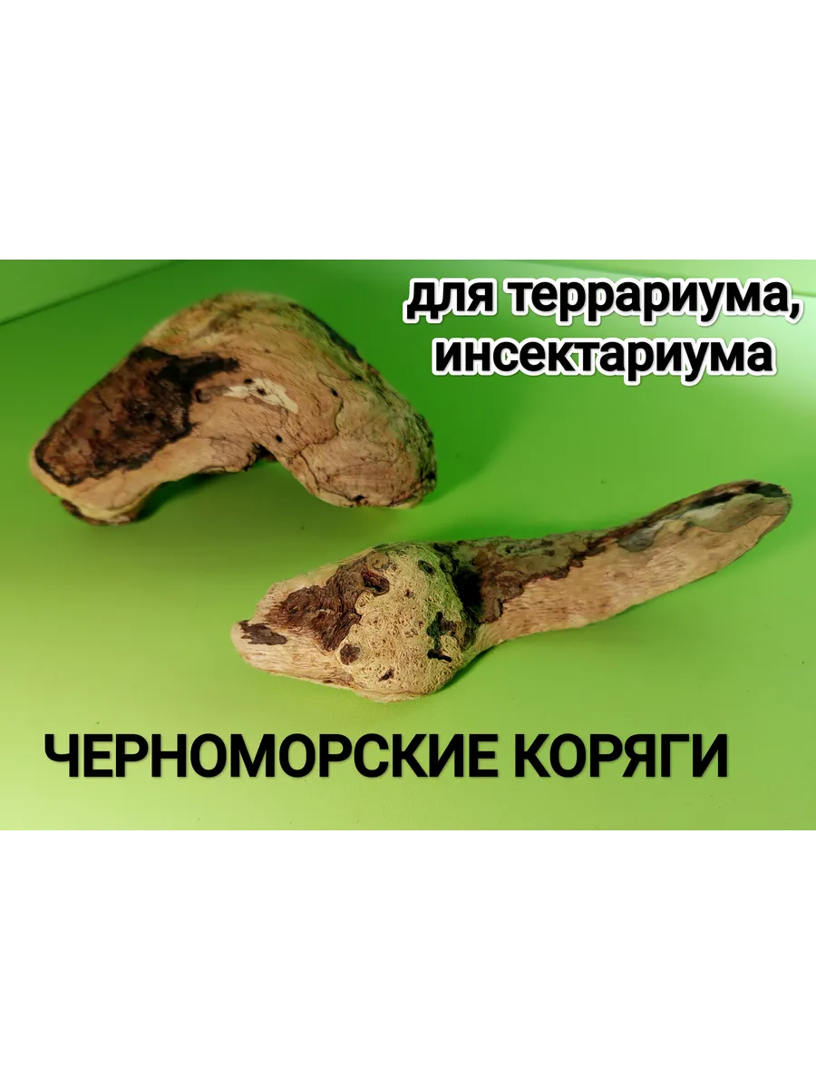 Коряги Черноморские для террариума инсектариума